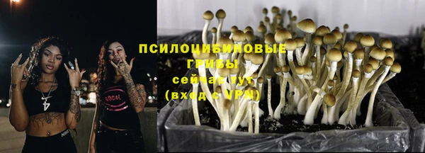 мескалин Карталы