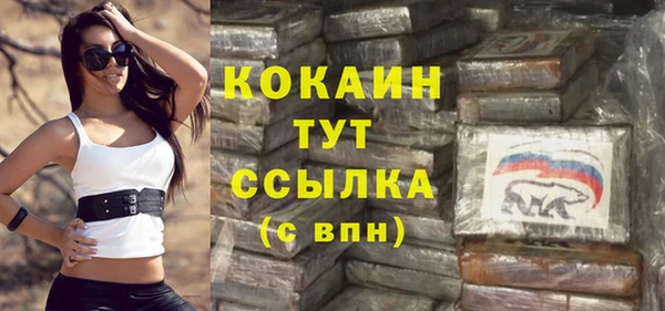 мяу мяу мука Белокуриха