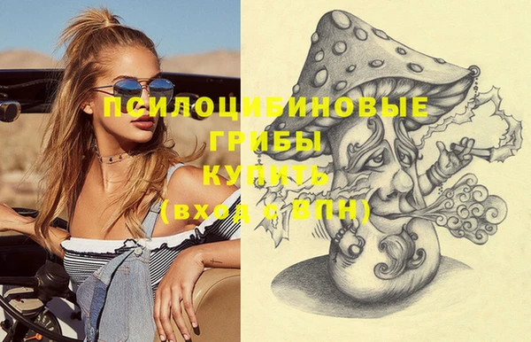 гидра Касимов