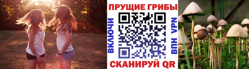 Галлюциногенные грибы мухоморы  Онега 
