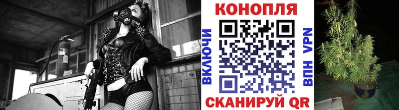 дарнет шоп Онега Марихуана THC 21%
